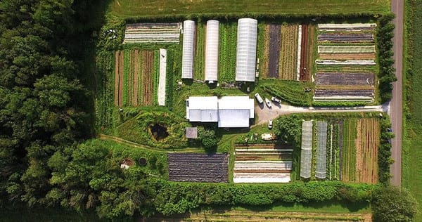 Une micro-ferme en maraîchage biologique, productive, rentable à travers un film documentaire.