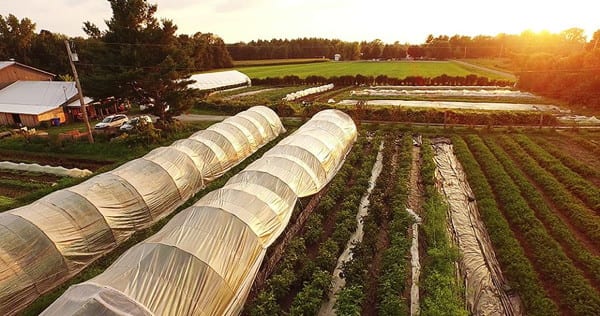 Une micro-ferme en maraîchage biologique, productive, rentable à travers un film documentaire.