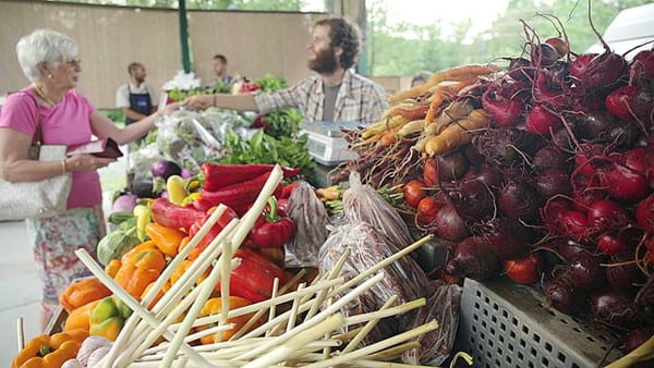 Une micro-ferme en maraîchage biologique, productive, rentable à travers un film documentaire.