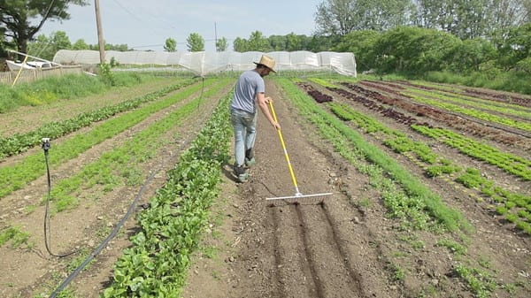Une micro-ferme en maraîchage biologique, productive, rentable à travers un film documentaire.