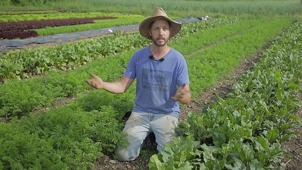 Une micro-ferme en maraîchage biologique, productive, rentable à travers un film documentaire.