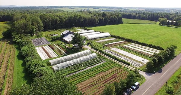 Une micro-ferme en maraîchage biologique, productive, rentable à travers un film documentaire.