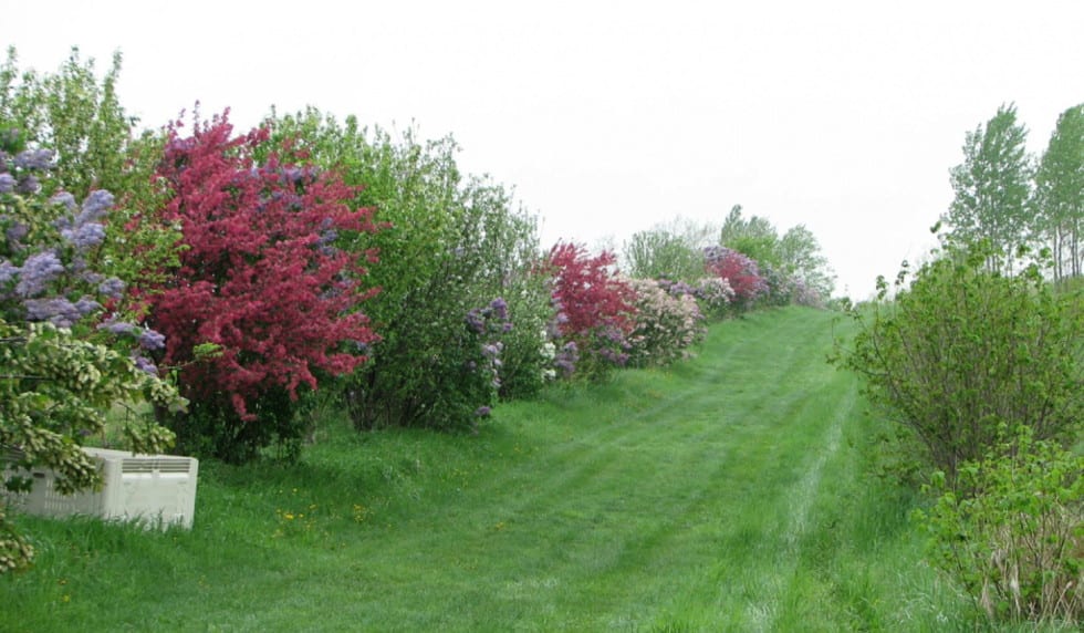 La ferme « New Forest Farm » dans le Wisconsin de Mark Shepard