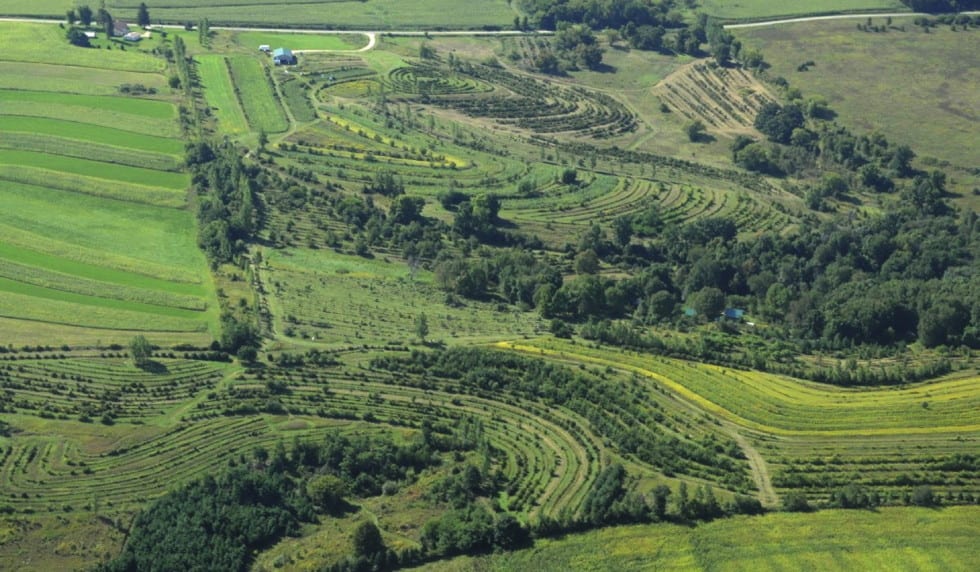 La ferme « New Forest Farm » dans le Wisconsin de Mark Shepard