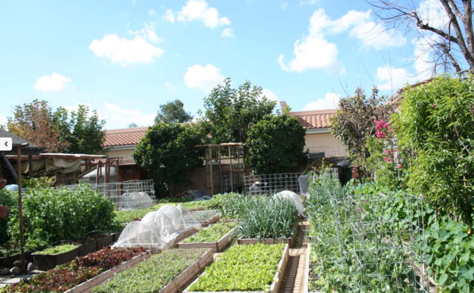 Avec sa petite ferme urbaine à Pasadena en Californie, la famille Dervaes développe son autonomie alimentaire et tend vers l’autosuffisance.