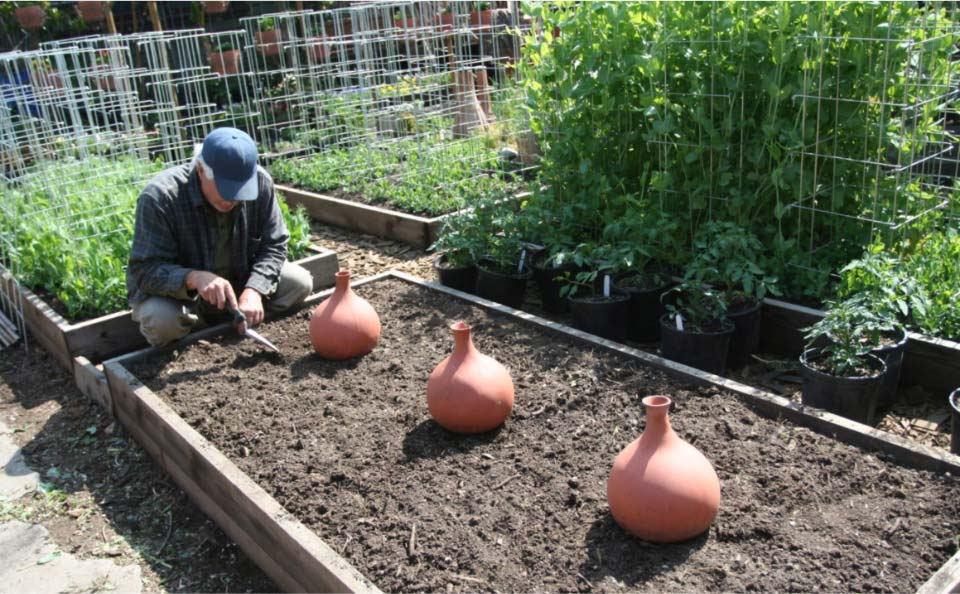 Avec sa petite ferme urbaine à Pasadena en Californie, la famille Dervaes développe son autonomie alimentaire et tend vers l’autosuffisance.