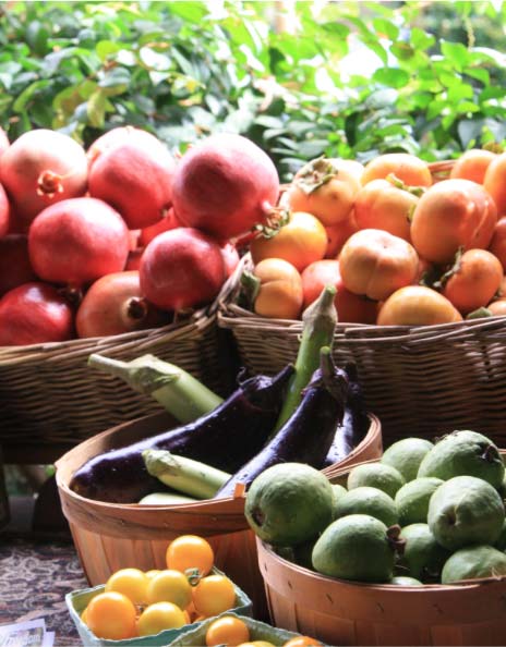 Avec sa petite ferme urbaine à Pasadena en Californie, la famille Dervaes développe son autonomie alimentaire et tend vers l’autosuffisance.