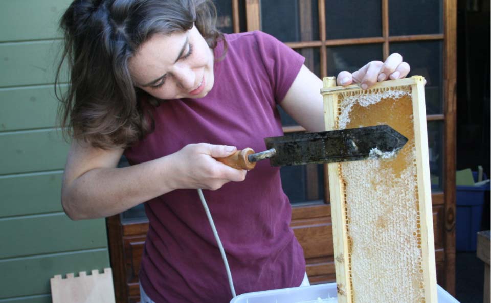 Avec sa petite ferme urbaine à Pasadena en Californie, la famille Dervaes développe son autonomie alimentaire et tend vers l’autosuffisance.