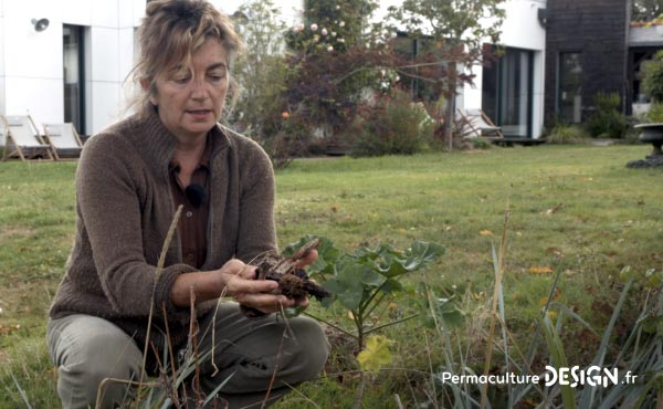 Grâce à la permaculture, Stéphanie a aménagé son jardin, s’est ouvert aux autres et a changé de vie pour retrouver sa place dans l’écosystème et de l’harmonie dans sa vie de tous les jours !