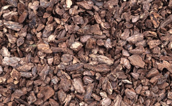 L’écorce de bois et plus particulièrement l’écorce de pin est un paillage très répandu pouvant avoir son utilité au jardin en permaculture.