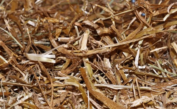 La paille est une matière sèche ne générant habituellement pas de fermentation ni de montée en température.