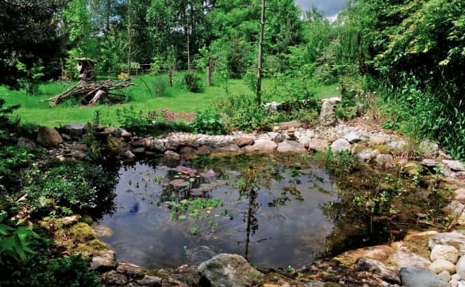 Une des mares naturelles créées par Gilles Leblais sur son lieu appelé « Mon jardin paradis » en Isère, ouvert au public sur réservation © Gilles Leblais
