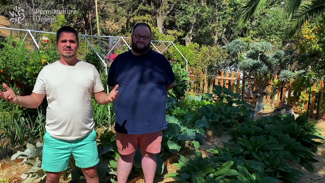Potager en permaculture climat méditerranéen.