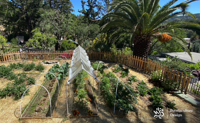 Photos du « Potager Perma+ ».