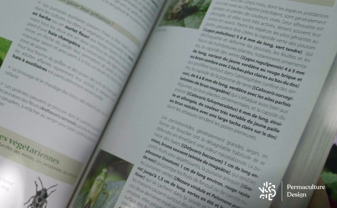 Consultation du livre de Vincent Albouy « Jardinez avec les insectes » aux Éditions de Terran.