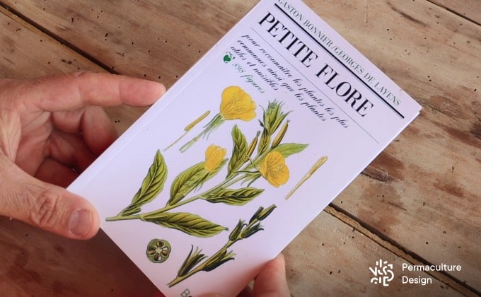 Sélection de livres sur les plantes médicinales : « La petite flore » de Gaston Bonnier.
