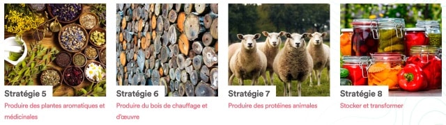 Extrait dossier design en permaculture professionnel.