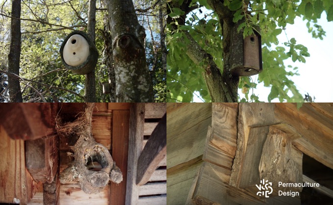 Exemples de nichoirs à oiseaux à installer au jardin en permaculture.