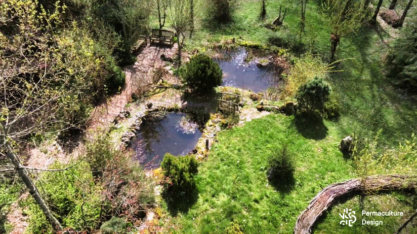 Vue aérienne sur 2 grandes mares naturelles dans un jardin en permaculture.