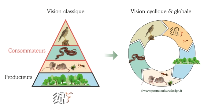 Intérêts des éthiques de la permaculture.